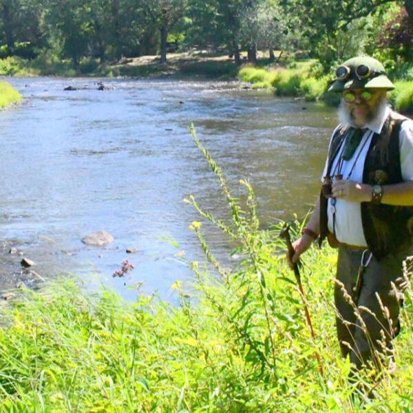 En excursion estivale